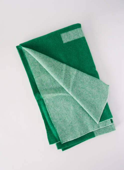 Eșarfă verde LES DEUX bărbat