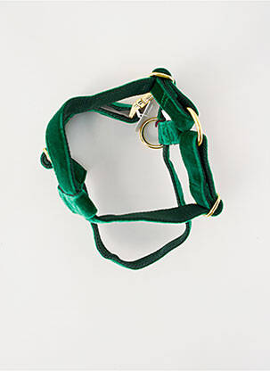 Accesoriu divers verde BANDIT unisex