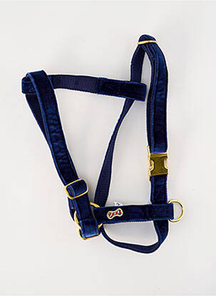 Accesoriu divers albastru BANDIT unisex