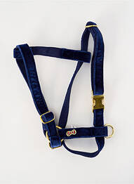Accesoriu divers albastru BANDIT unisex
