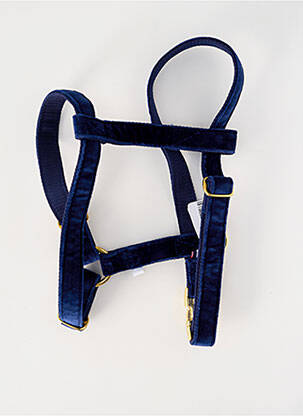 Accesoriu divers albastru BANDIT unisex