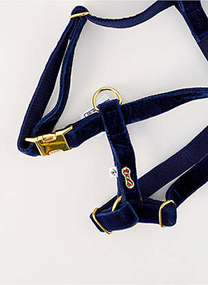 Accesoriu divers albastru BANDIT unisex