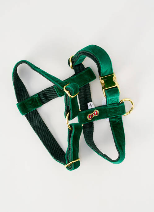 Accesoriu divers verde BANDIT unisex