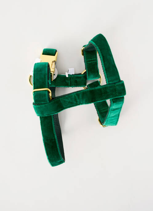 Accesoriu divers verde BANDIT unisex