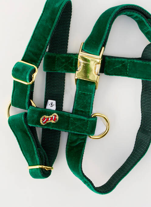 Accesoriu divers verde BANDIT unisex