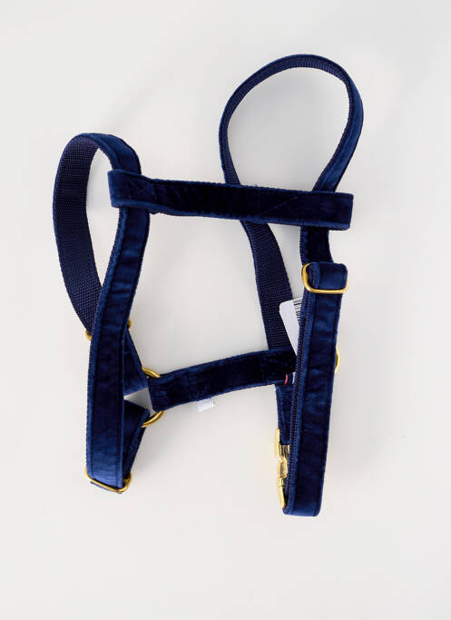 Accesoriu divers albastru BANDIT unisex