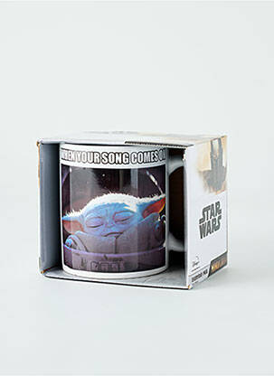 Diverse casă gri PYRAMID INTERNATIONAL unisex