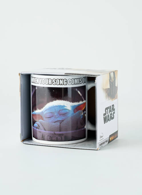 Diverse casă gri PYRAMID INTERNATIONAL unisex