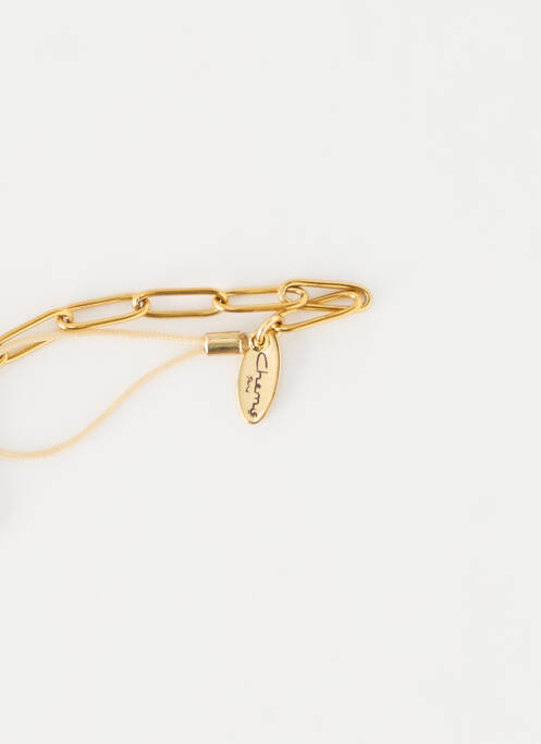 Accesoriu divers auriu CHEMS unisex