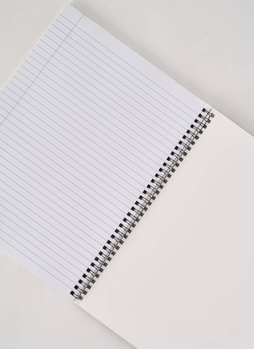 Accesoriu divers gri TYPO unisex