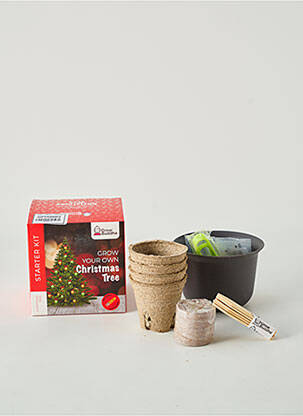 Accesoriu divers verde GROW BUDDHA DECO unisex