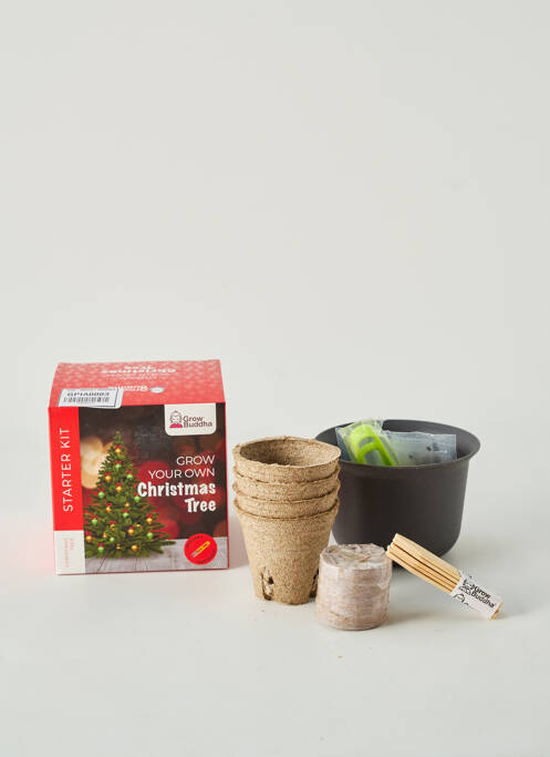 Accesoriu divers verde GROW BUDDHA DECO unisex