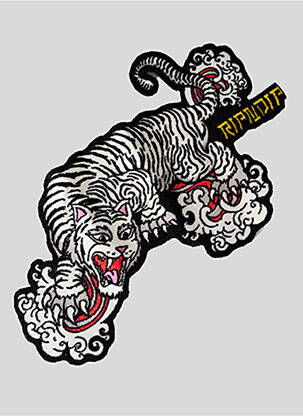 Diverse casă multicolor RIPNDIP bărbat