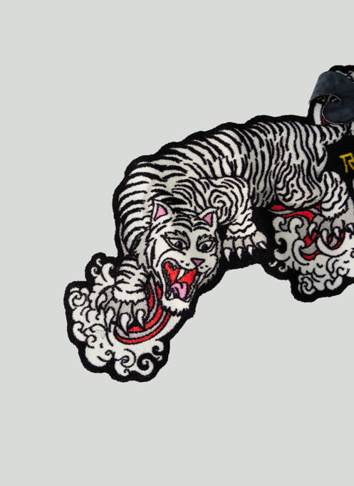 Diverse casă multicolor RIPNDIP bărbat