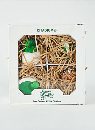 Diverse casă verde CARHARTT bărbat