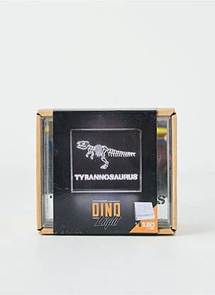 Diverse casă argintiu LOCOMOCEAN bărbat