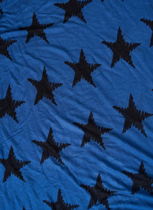 Eșarfă albastru PIECES femeie