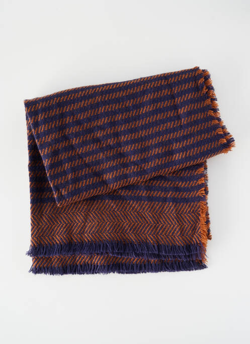 Eșarfă albastru PIECES femeie