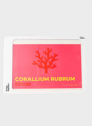 Diverse casă roz IMAGE REPUBLIC unisex