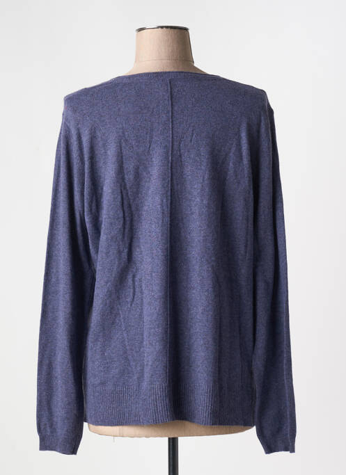 Vestă cu mâneci lungi albastru WHITE STUFF femeie