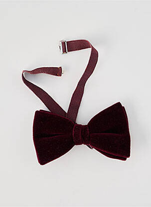 Papion violet SANS MARQUE bărbat