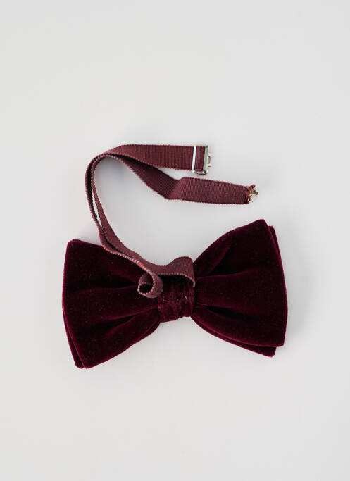 Papion violet SANS MARQUE bărbat