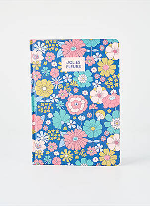 Accesoriu divers albastru DLP fată