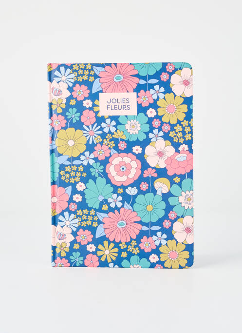 Accesoriu divers albastru DLP fată