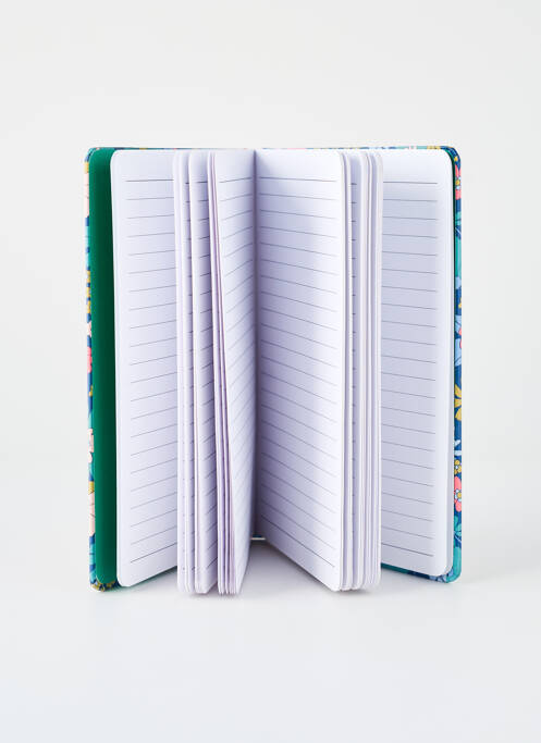 Accesoriu divers albastru DLP fată