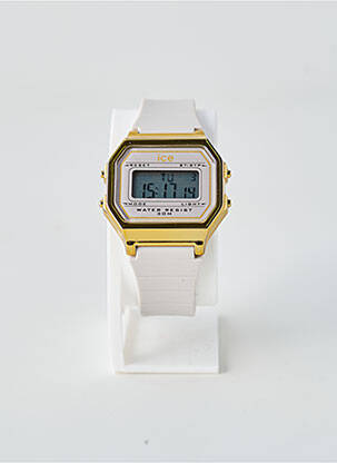 Ceas gri ICE WATCH femeie