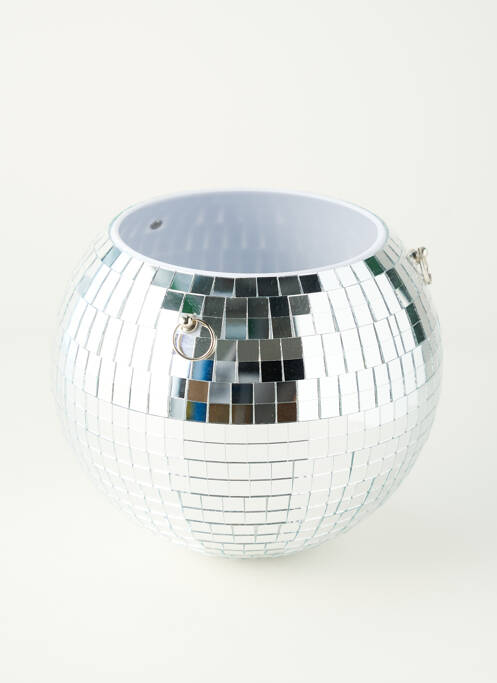 Diverse casă argintiu L'EXPRESSIONIST femeie