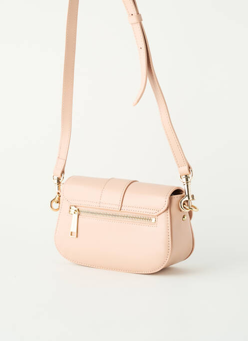 Geantă bej LANCASTER femeie