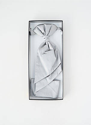 Cravată argintiu DIGEL bărbat