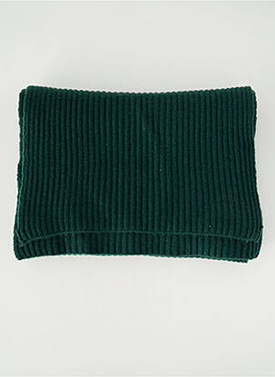 Eșarfă elasticitate verde LES TRICOTS DE LÉA femme