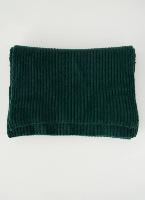 Eșarfă elasticitate verde LES TRICOTS DE LÉA femme