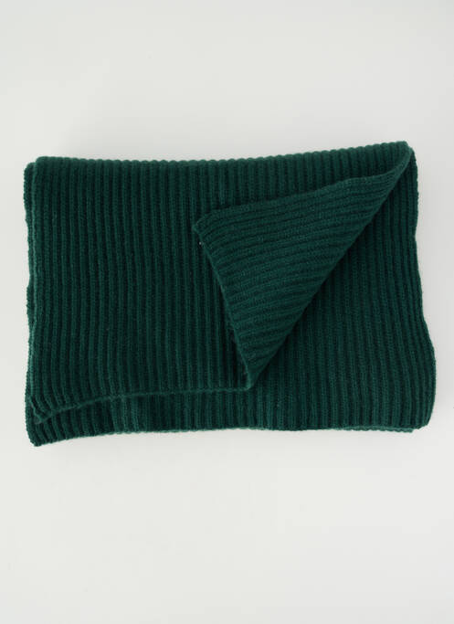 Eșarfă elasticitate verde LES TRICOTS DE LÉA femme