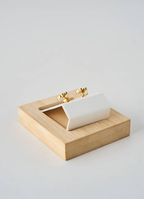 Cercei materiale argintii auriu TATA GISELE femme