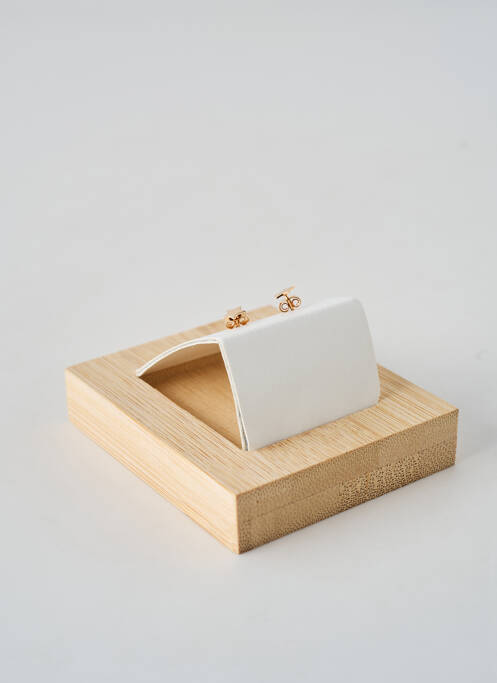 Cercei materiale placate cu aur auriu TATA GISELE femme