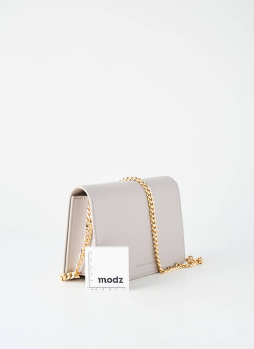 Geantă gri ELISABETTA FRANCHI femeie