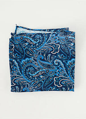 Accesoriu divers imprimeu fantezie albastru ROY ROBSON homme