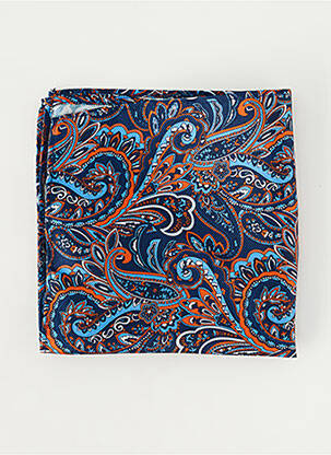 Accesoriu divers imprimeu fantezie albastru ROY ROBSON homme