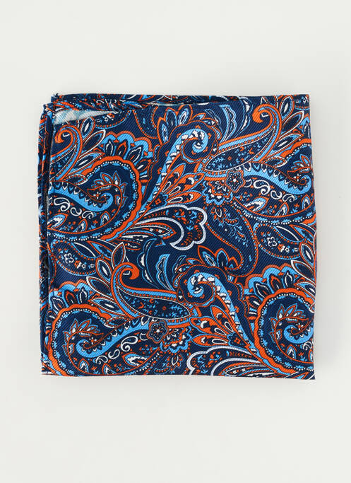 Accesoriu divers imprimeu fantezie albastru ROY ROBSON homme