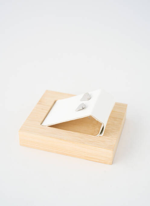 Cercei materiale metalice argintiu TATA GISELE femme