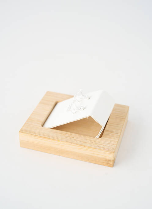 Cercei ornament oxid de zirconiu argintiu TATA GISELE femme