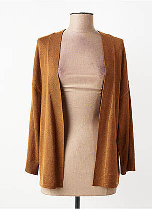 Vestă cu mâneci lungi mâneci lungi maro VILA femme