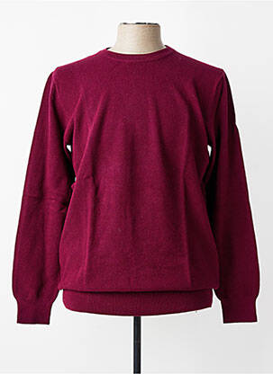 Pulover elasticitate mâneci lungi violet MBM bărbat