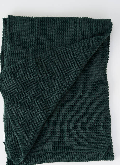 Eșarfă verde PETROL INDUSTRIES bărbat