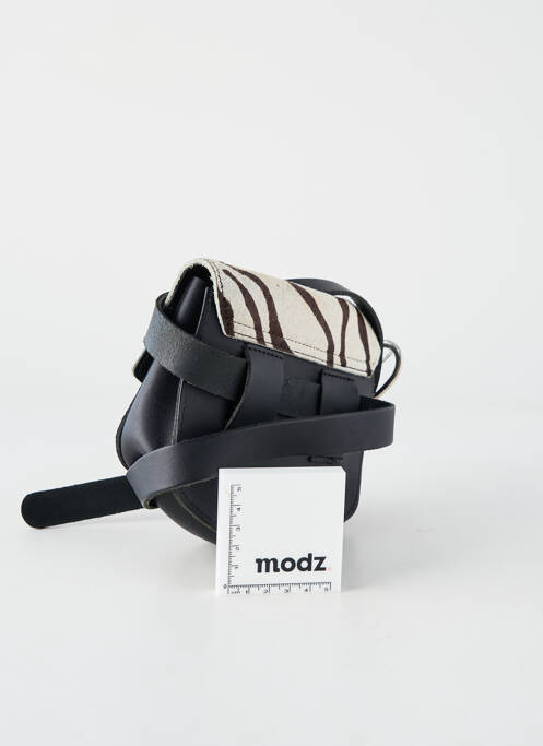 Geantă negru COBACHELLA femeie